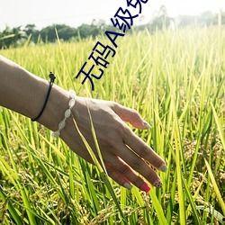 三级成人a视频